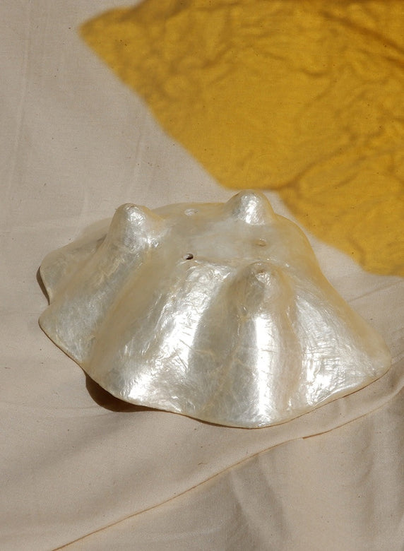 shell soap dish