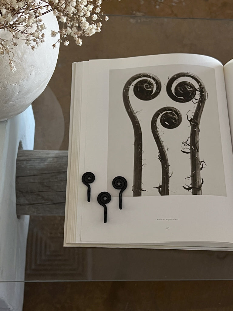 iron spiral hook