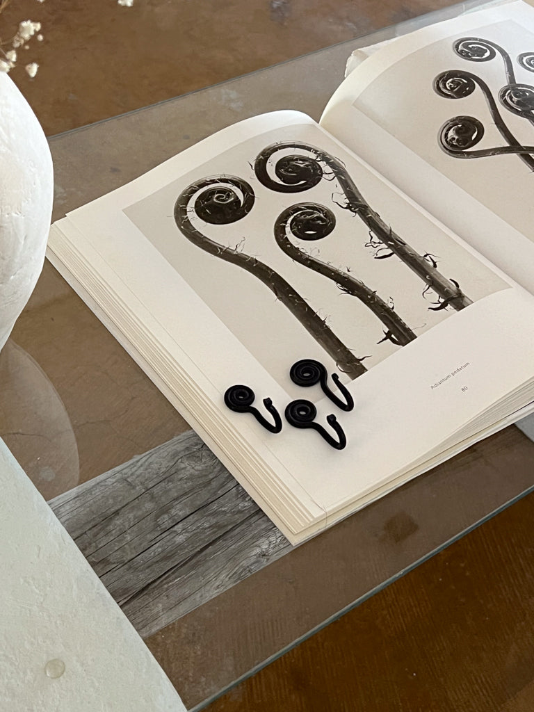 iron spiral hook