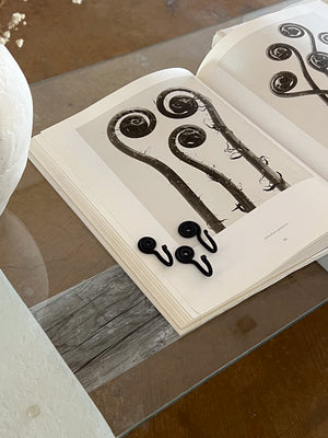 iron spiral hook