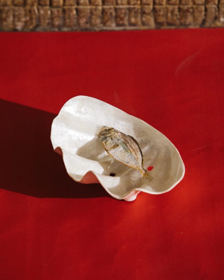 shell soap dish