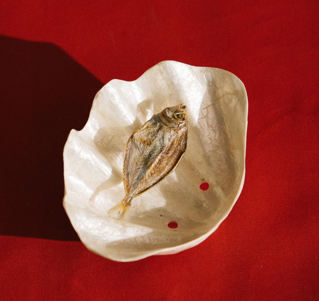 shell soap dish