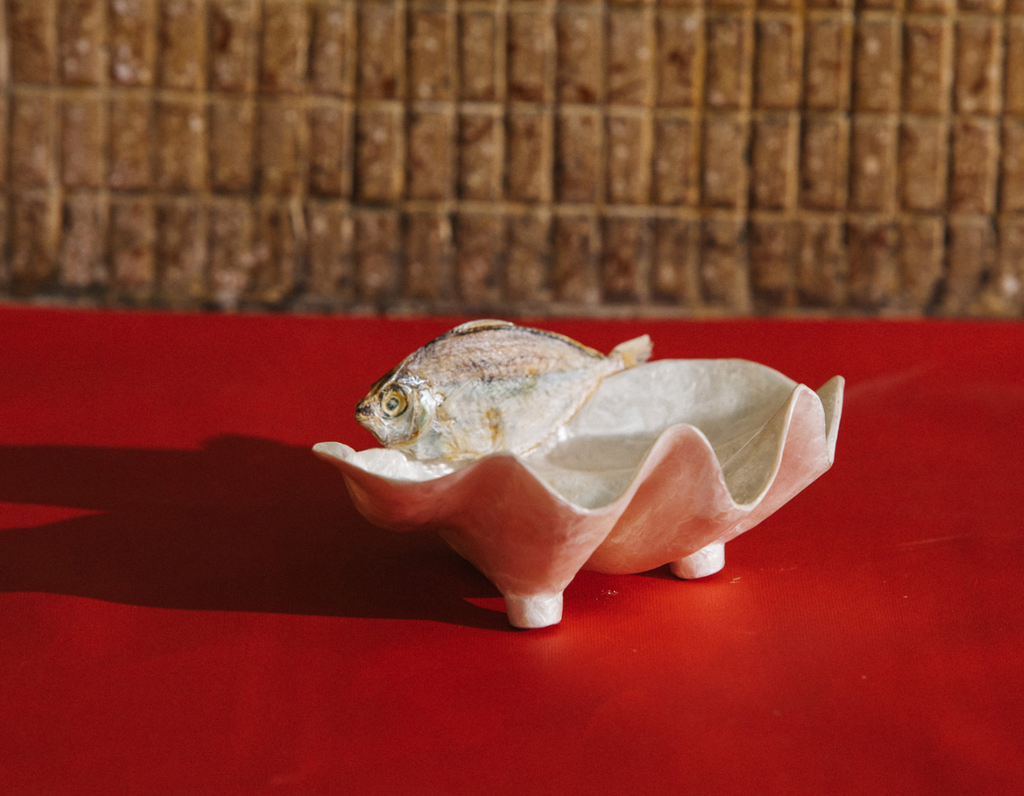 shell soap dish