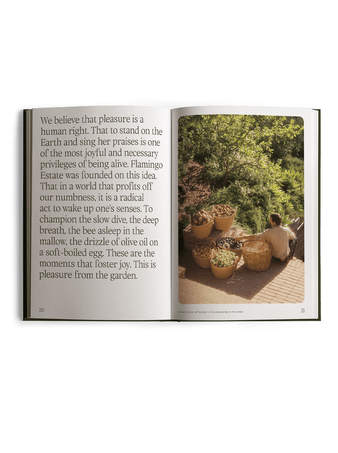 fridays from the garden cookbook