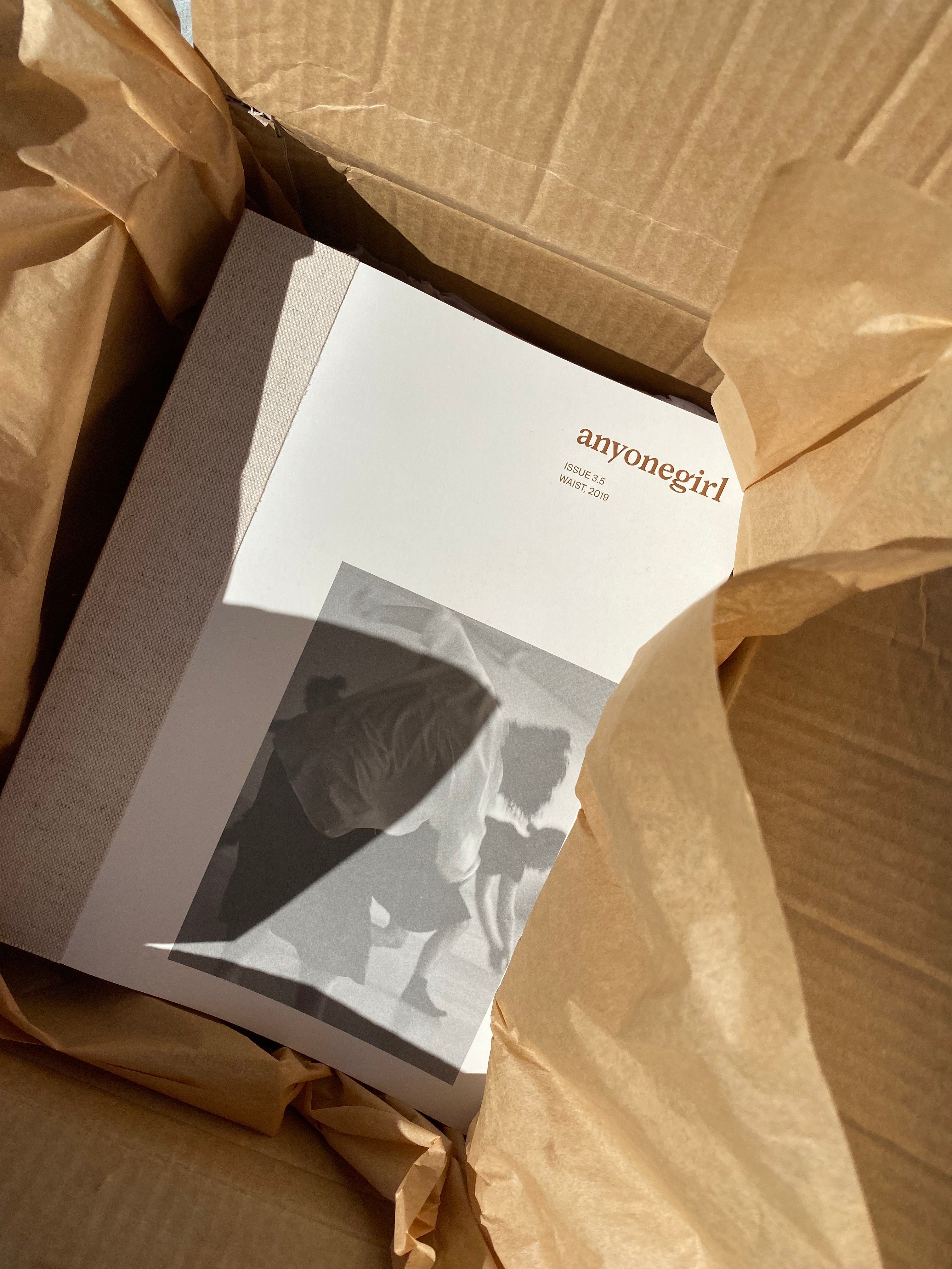 anyonegirl issue 3.5