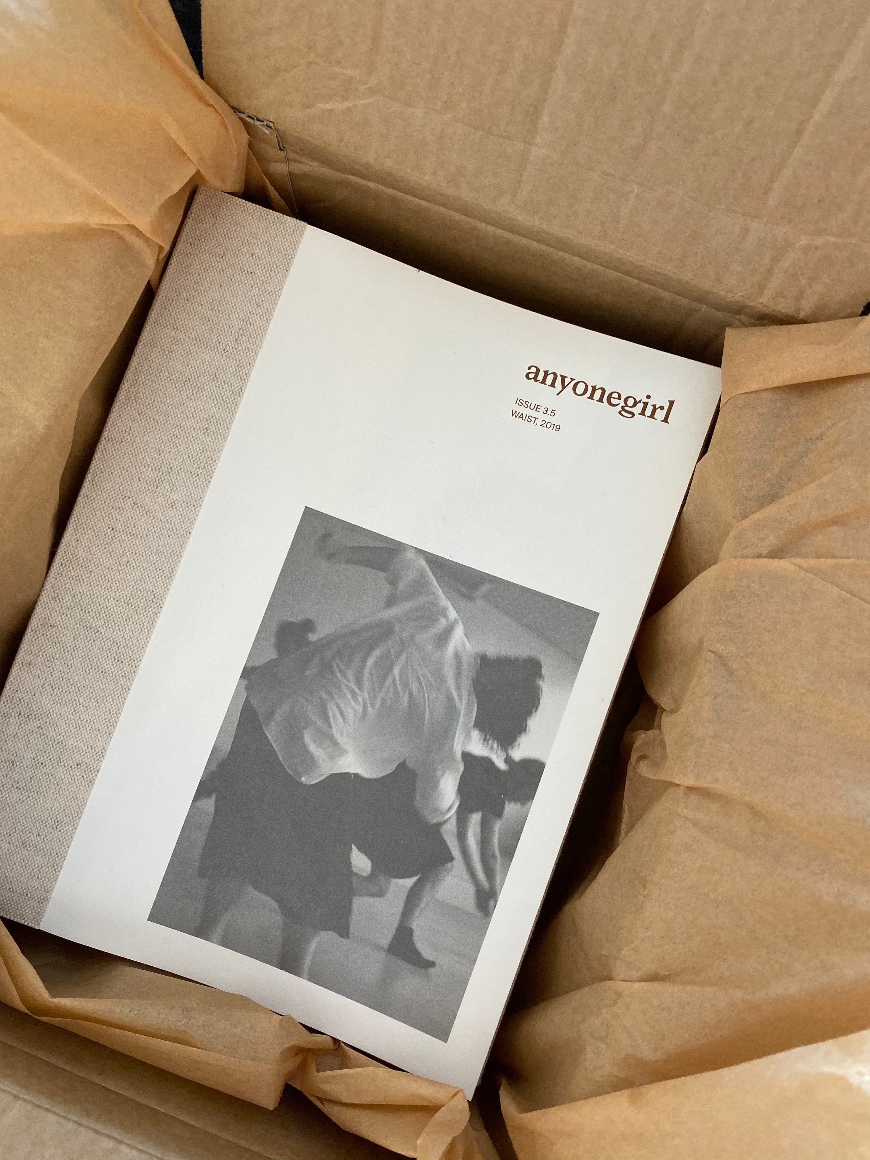 anyonegirl issue 3.5