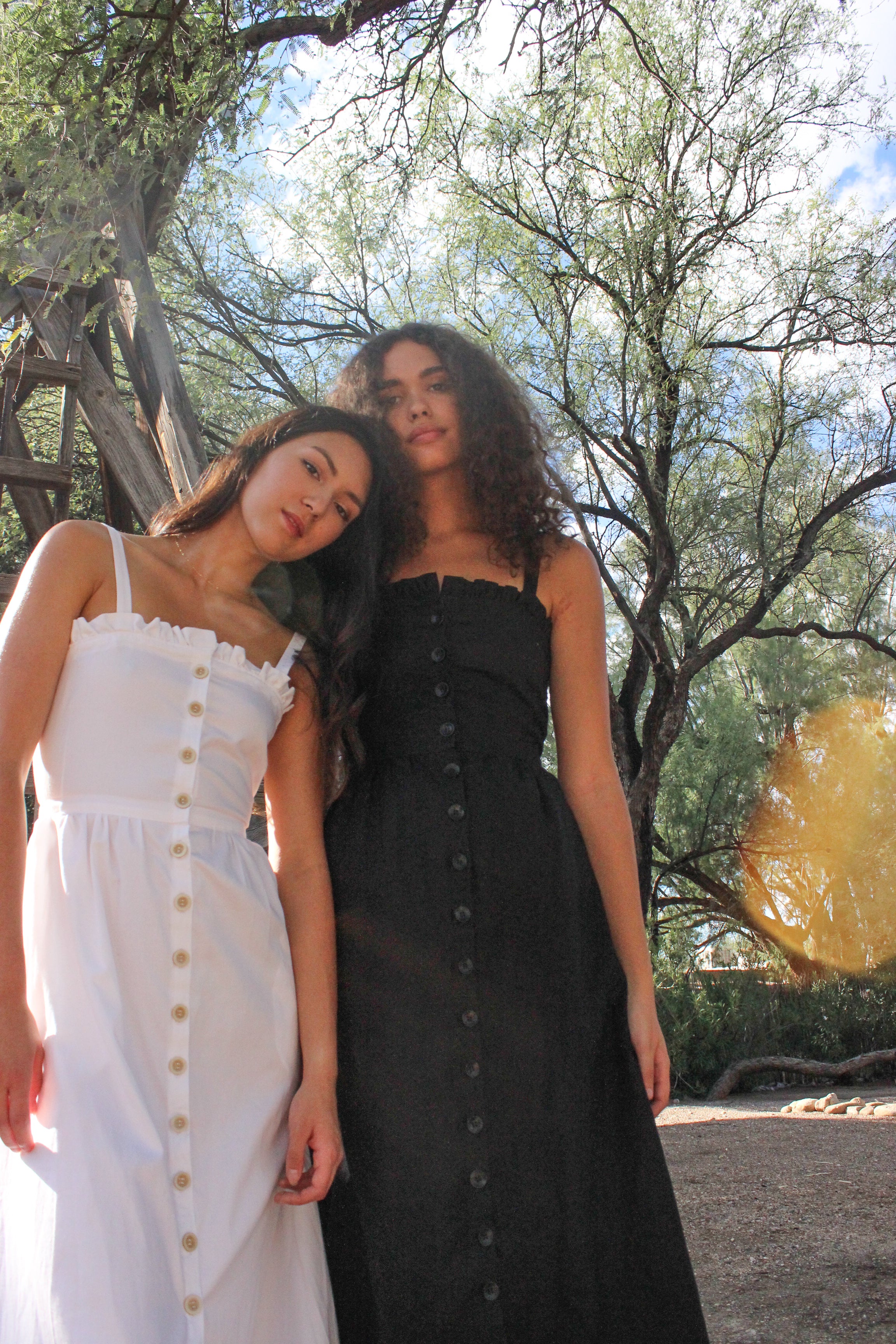 garden dress | black