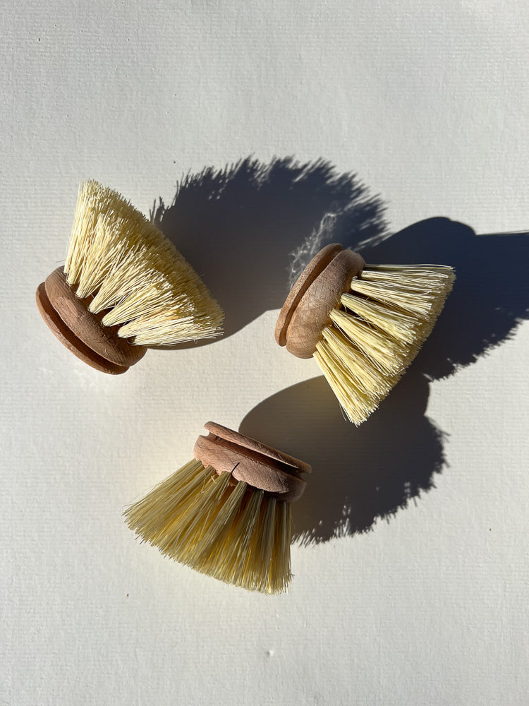 dish brush replacement head