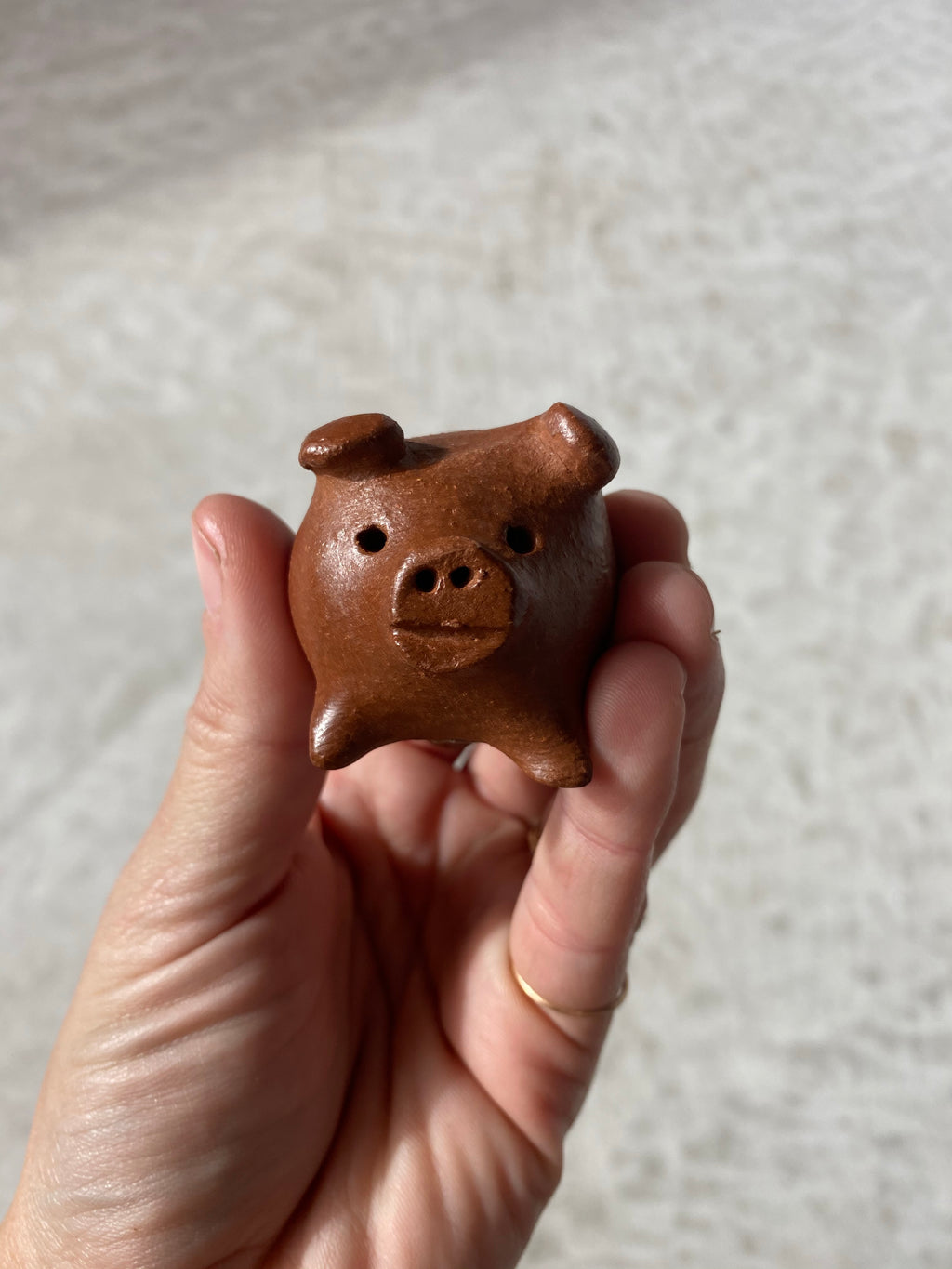 good luck pig
