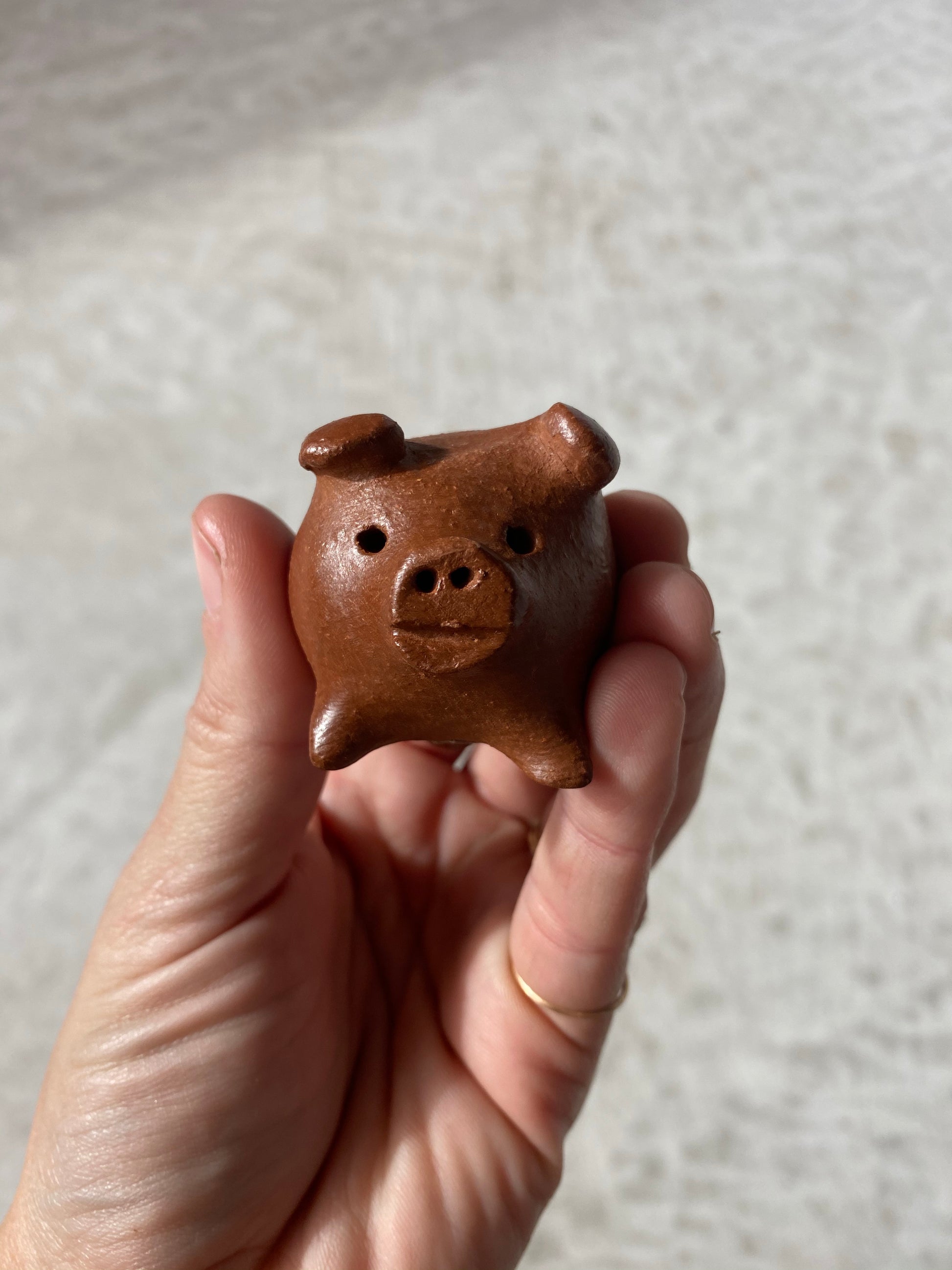 good luck pig