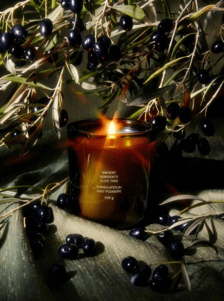 flamingo estate candles | multiple scents
