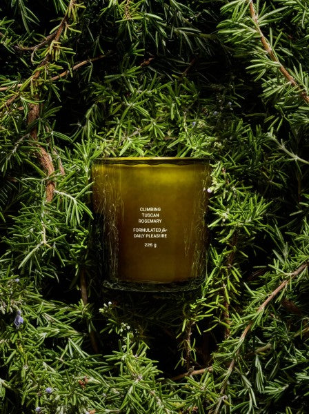 flamingo estate candles | multiple scents
