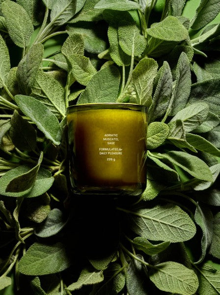 flamingo estate candles | multiple scents